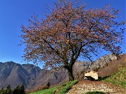 24 Sguardo indietro alla cascina con vista in Cancervo e Venturosa